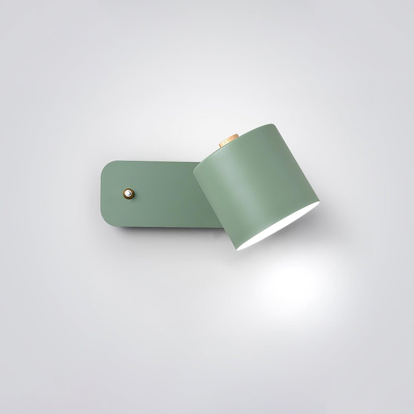Astra Rotating Wall Light