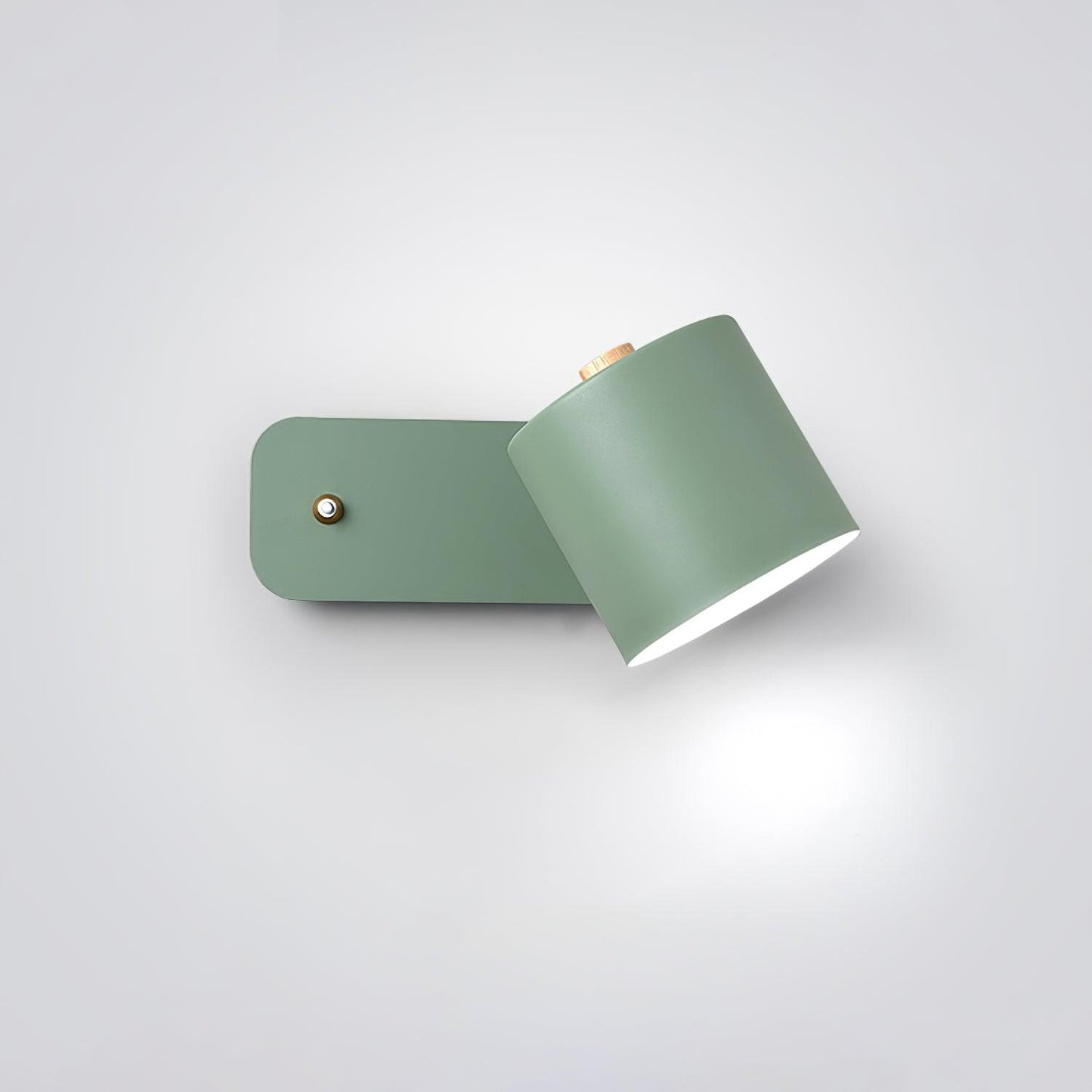 Astra Rotating Wall Light