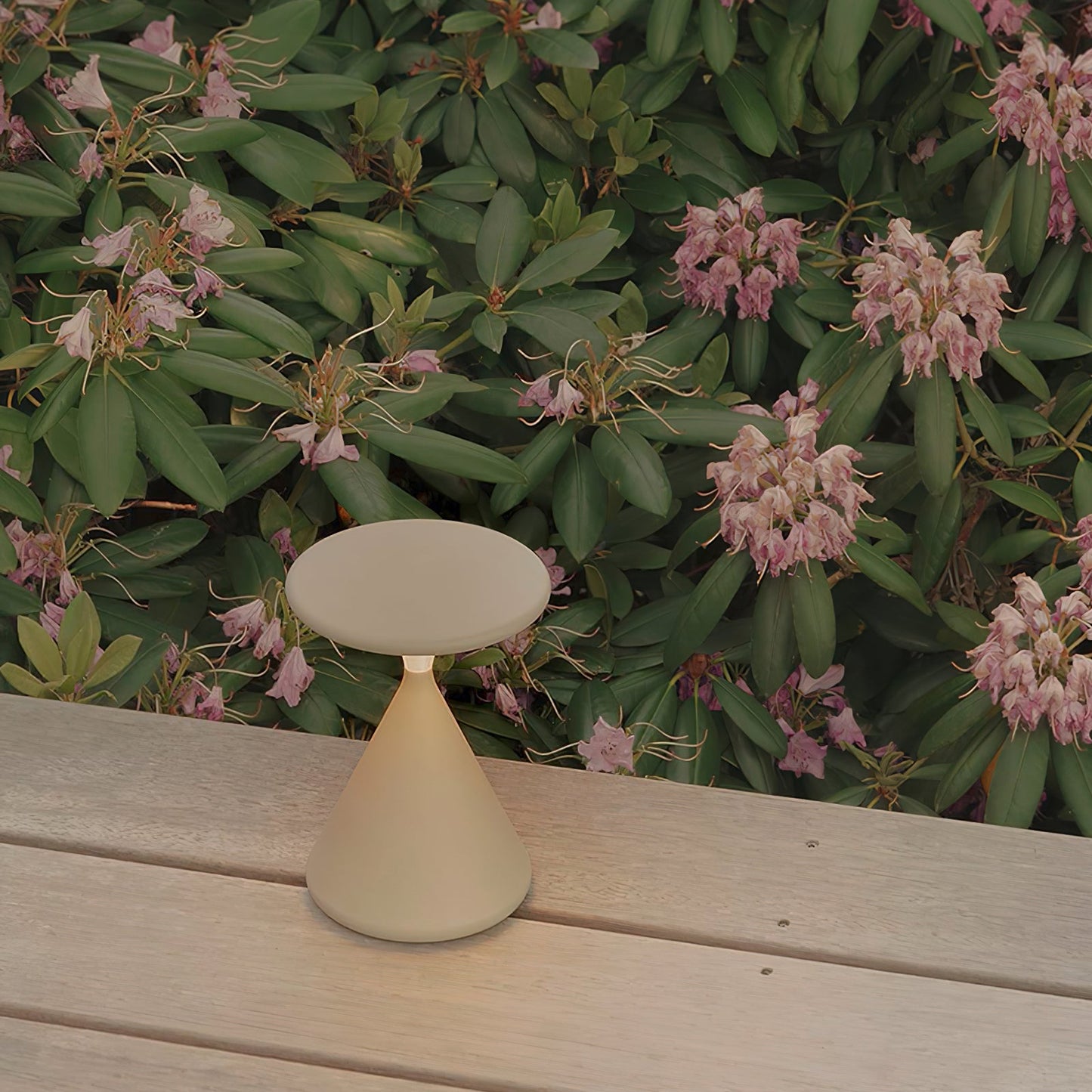 Salt & Pepper Atmosphere Table Lamp Built-in Battery