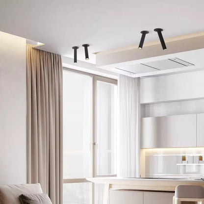 Axion Adjustable LED Ceiling Light