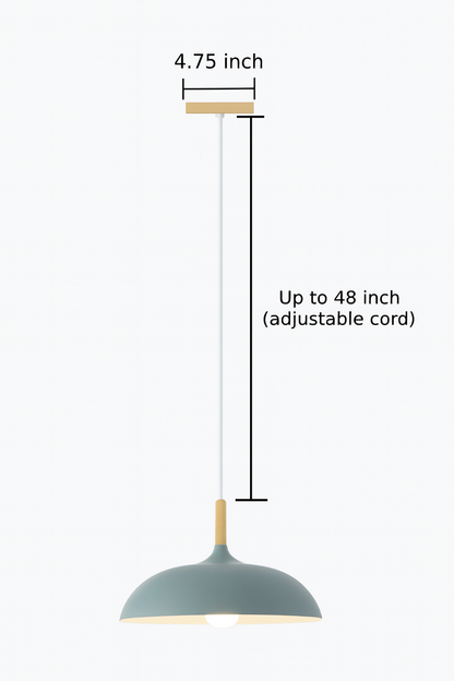 Modern Pastel Wood Accent Pendant Light
