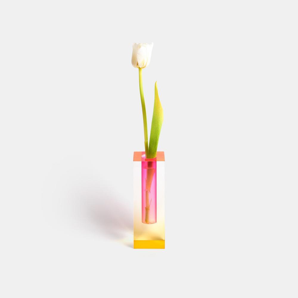 Chromatic Bloom Vases