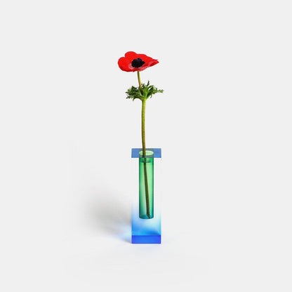 Chromatic Bloom Vases