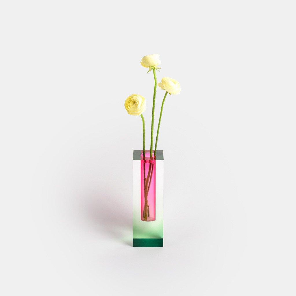 Chromatic Bloom Vases
