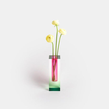 Chromatic Bloom Vases