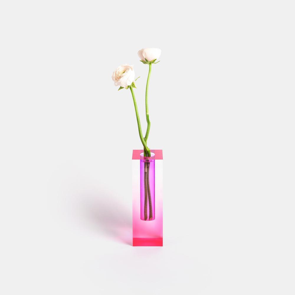 Chromatic Bloom Vases