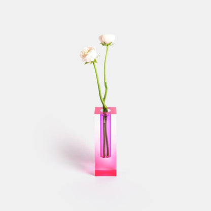 Chromatic Bloom Vases