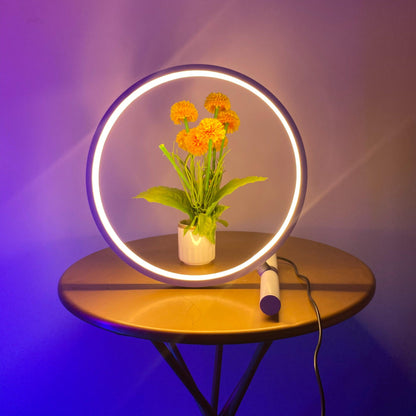Circle Glow Table Lamp