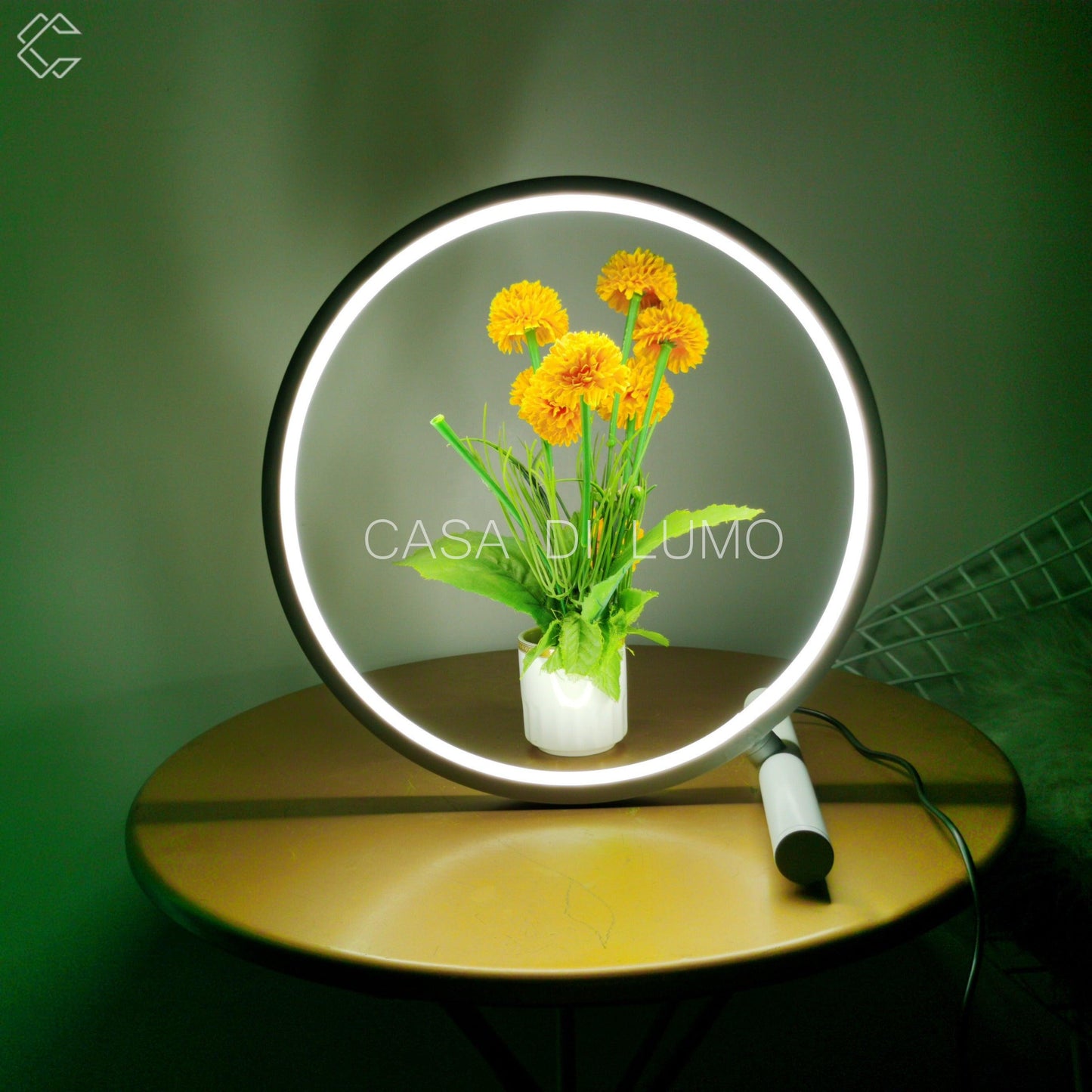 Circle Glow Table Lamp