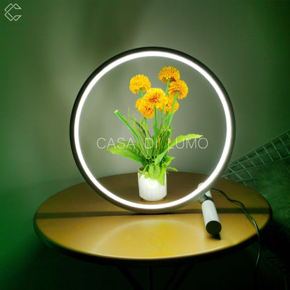 Circle Glow Table Lamp