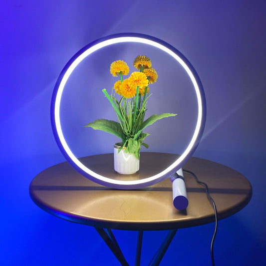 Circle Glow Table Lamp