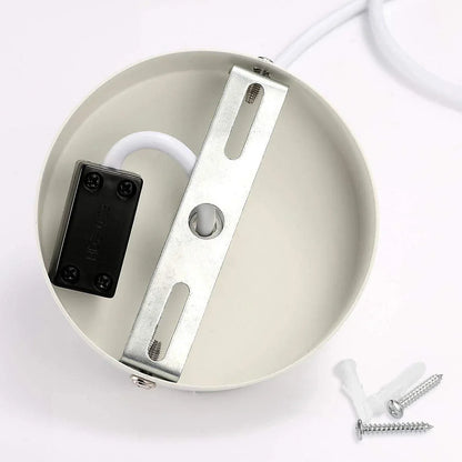 Haru Organic Pendant Light