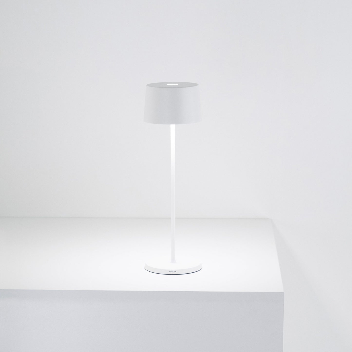 Liora Portable Table Lamp
