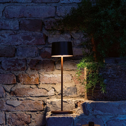 Liora Portable Table Lamp